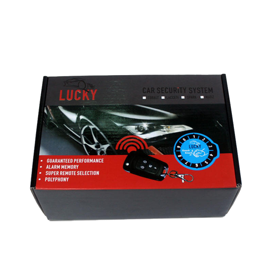 Car Security System Box