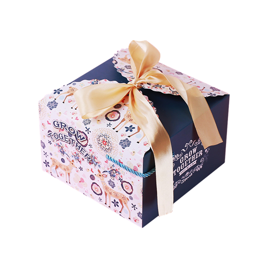 Cardboard Birthday Box