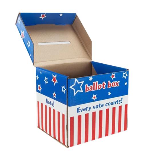Corrugated Ballot Box