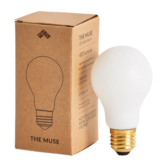 Light Bulb Packaging