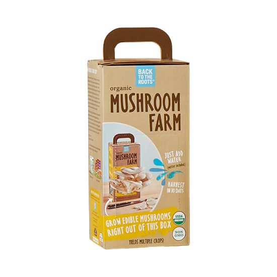 Mushroom Kit