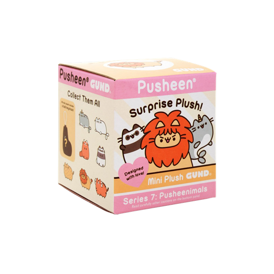 Mystery Box Packaging