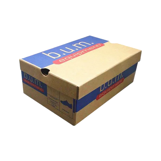 Printed Kraft Shoe Box