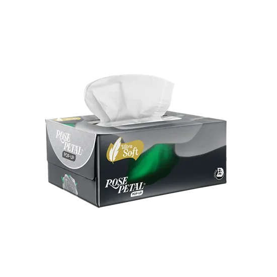 Tissue Box Packaging
